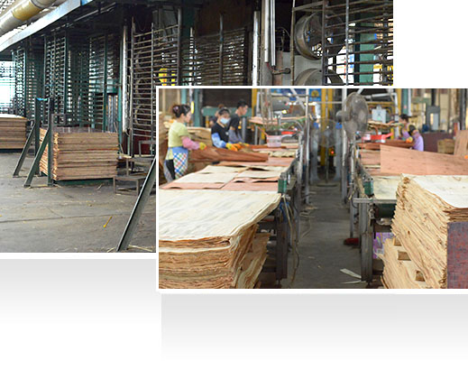 —30年耕耘，實(shí)力深厚