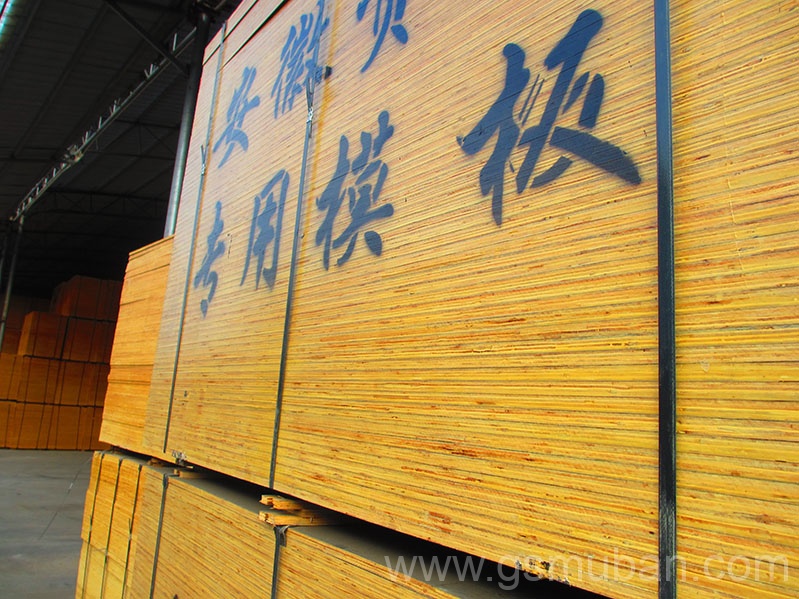 建筑木模板多少一張？價格貴不貴