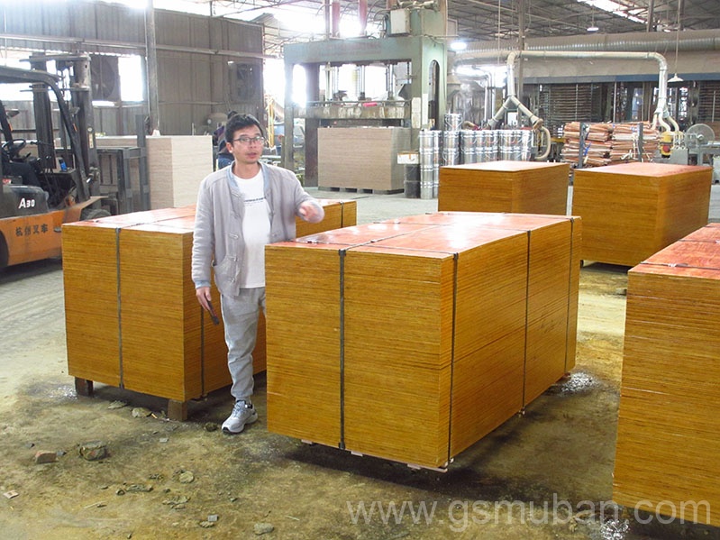 2023年建筑模板價格趨勢如何？盤點(diǎn)五個影響因素