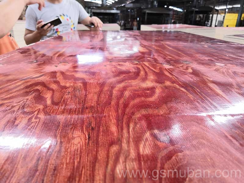 2025年建筑模板市場分析：機(jī)遇與挑戰(zhàn)并存！